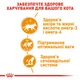 Вологий корм для&nbsp;дорослих котів ROYAL CANIN INTENSE BEAUTY IN GRAVY, для підтримання здоров’я шкіри та краси шерсті, 85 г - изображение 4