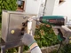Технический фен Bosch UniversalHeat 600 (06032A6120) - изображение 2