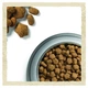 Сухий корм DOG CHOW Sensitive Adult 1+ для дорослих собак схильних до алергії з лососем 14 кг - изображение 5