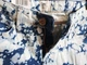Джинси Lee Scarlett Skinny L526ALKD 26/31 Blue/White - зображення 6