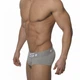 Бавовняна чоловіча білизна COTTON GRAY 663 L Сірий - зображення 2