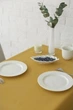 Водоотталкивающая скатерть на стол TouchableLinen 1 шт 150 см x 250 см Гірчичний Хлопок с тефлоновым покрытием - изображение 3