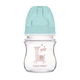 Бутылка с широким антиколиковым отверстием Easystart Toys 120 мл Canpol Babies Зеленая (5901691812956) - изображение 2