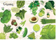 Мои любимые фрукты и овощи My favorite vegetables and fruits - изображение 3