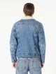 Джинсовая куртка с мехом мужская Colin's 020 Mice CL1060619DN42244 S Crossin Wash (8683197453129) - изображение 2