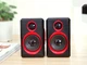 Комп'ютерні стовпчики акустика 2.0 USB FNT FT-165 - зображення 1