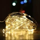 Світлодіодна гірлянда нитка 10м 100 LED від батарей + USB теплий білий - зображення 1