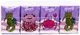 Платки бумажные Bella Baby Happy Трехслойные 9 шт х 56 уп (5900516040956) - изображение 2
