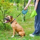 Поводок для собак WAUDOG R-leash с контейнером для пакетов L до 40 кг 5 м голубой (26292) - изображение 7