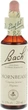 Капли для фитотерапии Bach 17 Граб лесной 20 мл (5000488103939) - изображение 1