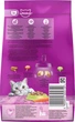 Упаковка сухого корма для котов Whiskas с ягненком 14 х 300 г (5998749106020/5900951304743) - изображение 6