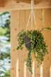 Кашпо LAMELA Магнолія 13,5*16*2 мокко (000004849) - зображення 3