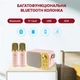 Портативная караоке-система Inspire YS-105 Rose - изображение 5