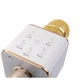 Беспроводной Микрофон MicGeek Q7 Блютуз Караоке и динамик Bluetooth Золотой - изображение 3