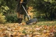 Grabie do zbioru liści Fiskars Xact XXL 615 mm (1027036) - obraz 4