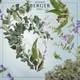 Аромат-наповнювач (Лампа Берже) Maison Berger Fresh Eucalyptus 500 ml. (115319-BER) - изображение 3