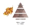 Аромат-наповнювач (Лампа Берже) Maison Berger AMBER POWDER 1000ml. (116022-BER) - изображение 2