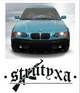 Виниловая Наклейка на Авто/Мото на Стекло/Кузов " СТРИТУХА STRUTYXA" Дрифт стикеры под заказ радужная BMW AUDI ваз ford - изображение 4