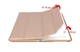 Чехол ZOYU Apple iPad 2 3 4 Retina Smart Case Gold - изображение 4