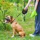 Повідок для собак WAUDOG R-leash з контейнером для пакетів S до 12 кг 3 м чорний (26271) - зображення 9