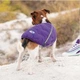 Жилет Pet Fashion «E.Vest» для собак, размер L, фиолетовый - изображение 5