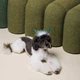 Ріжки для собак Pet Fashion Deer XS-S - изображение 4