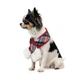 Шарф Pet Fashion «Happy» XS-S - зображення 1