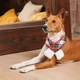 Шарф Pet Fashion «Happy» XS-S - зображення 4