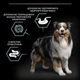 Сухий корм для дорослих собак середніх порід ProPlan Medium Sensitive 14 кг (ягня) - зображення 6