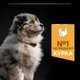 Cухий корм для цуценят Pro Plan Medium Puppy Healthy Start 12 кг - курка - изображение 7