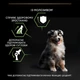 Cухий корм для цуценят Pro Plan Medium Puppy Healthy Start 12 кг - курка - изображение 8
