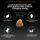 Сухий корм для дорослих собак середніх порід ProPlan Medium Sensitive 14 кг (ягня) - зображення 8