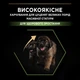 Cухий корм для цуценят Pro Plan Large Robust Puppy Healthy Start 12 кг - курка - изображение 5