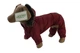 Lucky Pet Костюм Соло для породы Мопс бордовый M2 №1, 28 х 60 см - изображение 1