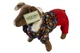 Lucky Pet Комбинезон Звездочка для породы Йорк красный M №1, 28 х 40 см - изображение 1