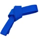 Пояс для кимоно зеленый Zelart Champion Heroe 4076 длина 280см Blue - изображение 1