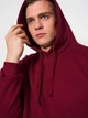 Худі утеплене на флісі чоловіче Just Hoods College AWJH001BU S Burgundy (Tr2000000013138) - изображение 4