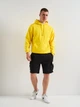 Худи утепленное мужское Just Hoods College AWJH001YE L Sun Yellow (Tr2000000013268) - изображение 2