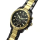 Наручные часы FESTINA F20563/1 Черный/Золотистый - изображение 1