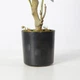 Штучна рослина Engard Olive Tree, 80 см (DW-20) - зображення 5