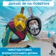 Полнолицевая панорамная X/S Kids (3-10лет) Снорклинг Маска для плаванья VelaSport 1.0 на все лицо с трубкой и клапаном с креплением для экшн камеры детские Yellow Grey - изображение 11