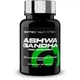Ашфаганда для спорта Scitec Nutrition Ashwagandha 60 Caps - изображение 1