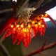 Гирлянда Lights4fun RedPepperChilli на батарейках 2.5 м - изображение 5