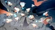 Ключ активации NARUTO X BORUTO Ultimate Ninja STORM CONNECTIONS Ultimate Edition для Xbox One/Series S/X - изображение 6