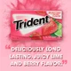 Блок жуйок Trident Island Berry Lime 12 шт - зображення 5