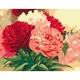 Картина по номерам Rosa Букет пионов 35 х 45 см (4823098526117) - изображение 1