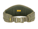 Пояс Emerson Padded Molle Waist Belt Ranger Green - зображення 1