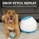 Автоматична катапульта для собак iFetch для собак великих порід - зображення 3