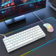 Механическая игровая клавиатура Dierya 60% с переключателями Clicky, Type-C, 61 клавиша (раскладка ENG-UA, QWERTY, Brown Switch) белый - изображение 2
