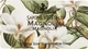 Мыло натуральное "Магнолия" - Florinda Sapone Vegetale Magnolia 100g (375419-31163554) - изображение 1